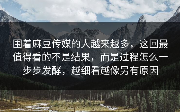 围着麻豆传媒的人越来越多，这回最值得看的不是结果，而是过程怎么一步步发酵，越细看越像另有原因