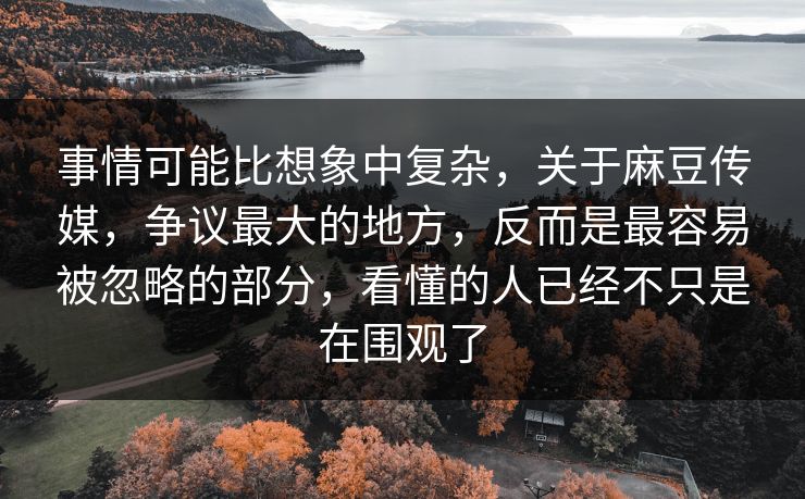 事情可能比想象中复杂，关于麻豆传媒，争议最大的地方，反而是最容易被忽略的部分，看懂的人已经不只是在围观了